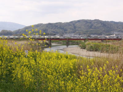 大和川と大和路線